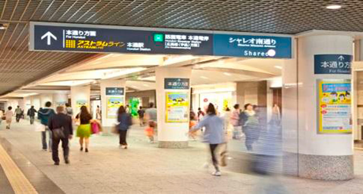 シャレオの様子